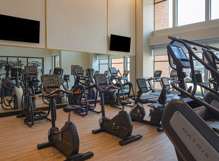 indoor gym with rows of elipticals, treadmills, and workout bicycles